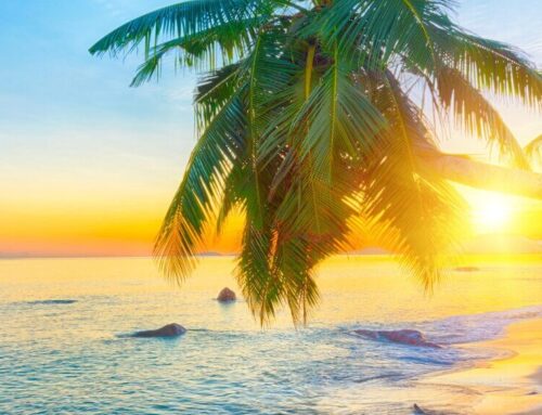 New Location Launched: Teaching Opportunities in the Seychelles